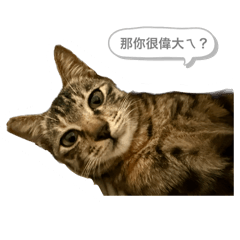 阿布內心戲很多