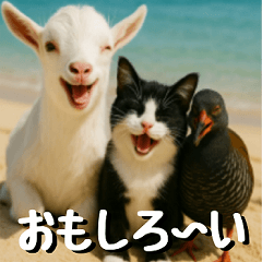 Diary of Three Best Friends