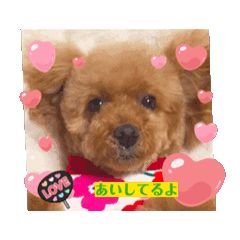 MAYUMI_20250422174349
