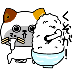 nekoizon6