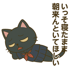 Black Cat Sharp-Tongue JK