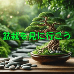 Serene Journeys Through the Seasons