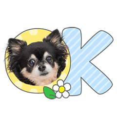 StampNo:5246