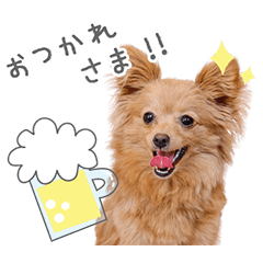 StampNo:5248