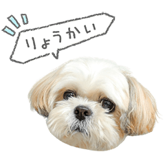 StampNo:5258