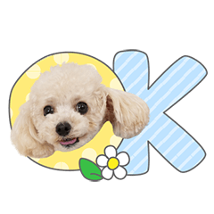 StampNo:5252