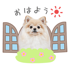 StampNo:5264
