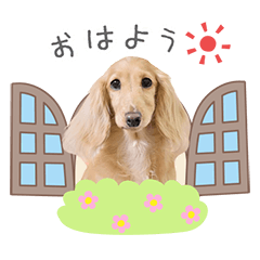 StampNo:5259