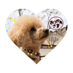 Sayuri_20250423142852