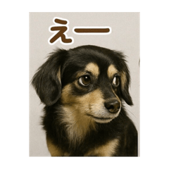 Nao_20250421211415