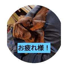 masa_20250423132836