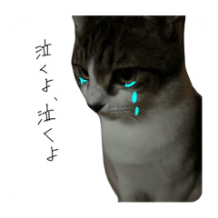 miho_20250423140556
