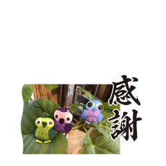 S_20250423140628