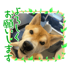 hiro_20250423142225