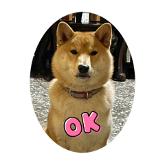 哞哞子