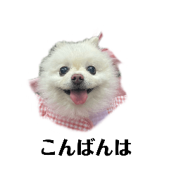 mayumi_20250421233644