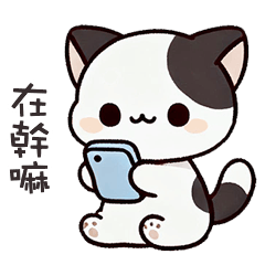 (=´ω`=) 小胖貓貓在幹嘛