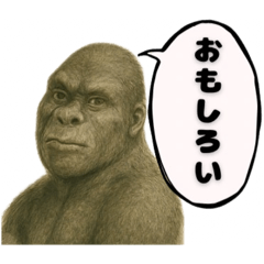 煽るエリートゴリラ