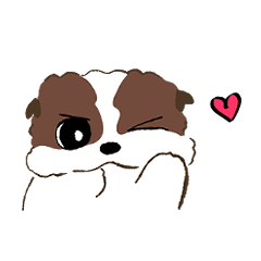 Little, smart baby Shi Tzu, Gomsooni