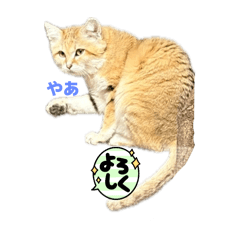 ZEN_20250422154224