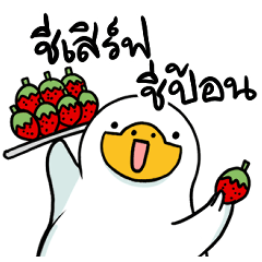 ห่านกวนๆ ใช้ได้ทุกวัน คำฮิต