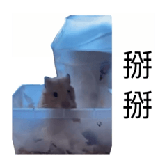 呀呼之家