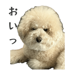MJ_20250423153723