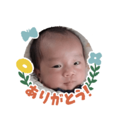 HIKARI_20250423172108