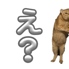 ABC_20250423172144
