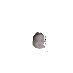 t0301