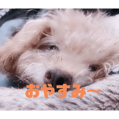 qoo0217_20250423162357