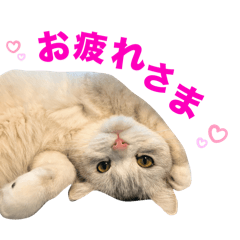 MISAKI_20250423161912