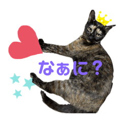 yui_20250423164518