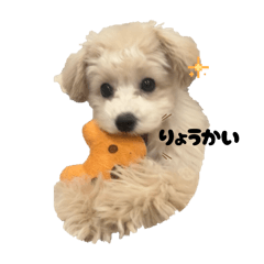 mugi_20250423193321