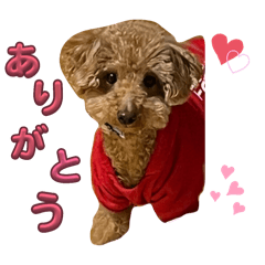 MIREI_20250423193610