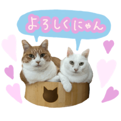 2匹の猫にゃんスタンプ