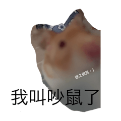呀呼之家（倉鼠篇）