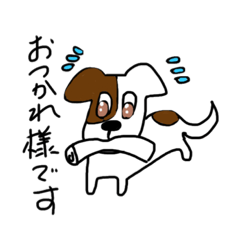 puppy expression