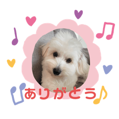 Yu_20250423153738