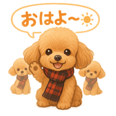 ふわもこトイプー＊毎日使える8表情