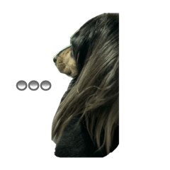 mo_20250423203315