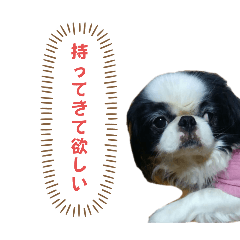 maimai_20250423203205