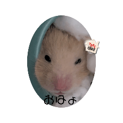 MACOLove_20250423203136