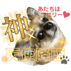 yumi_20250423200105