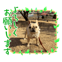 aki_20250423211246