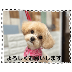 KAORI_20250423211524