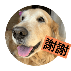 suzu_20250423211803