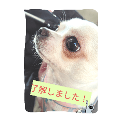 ohagi_20250423215449