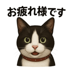 hachi_20250423215923