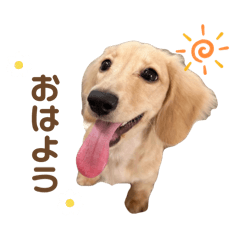 rei_20250423220643
